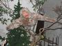 112_1251.JPG